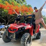 Jungle Buggy Tour