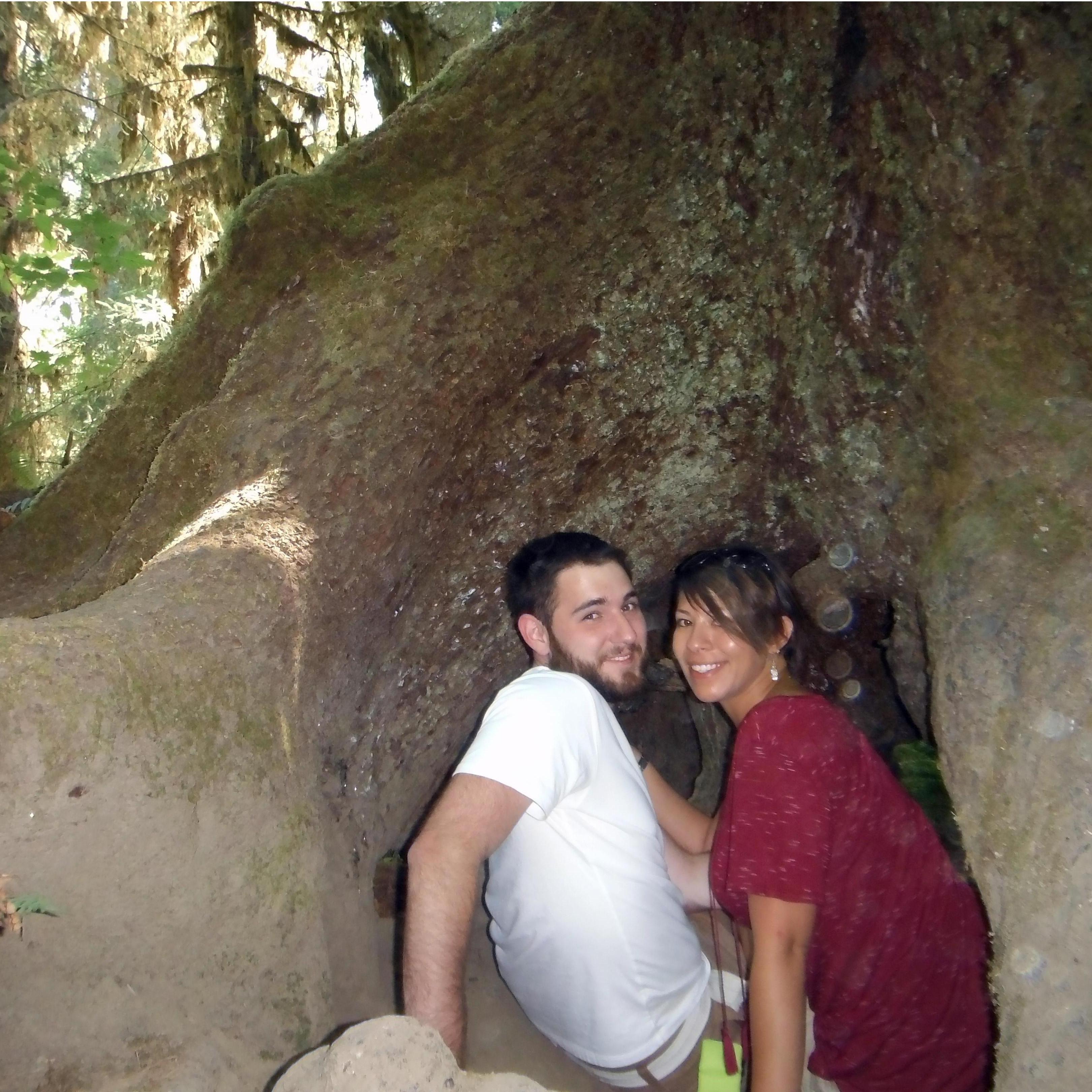 Washington 2015 hike through the Hoh Rainforest!