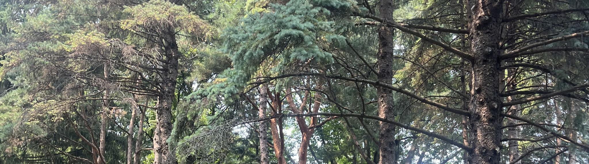 d80fa326-e79e-4696-9494-52af03fda680