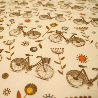 Napkin Set of 2