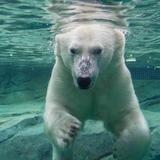 Calgary Zoo
