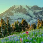 Hiking Tours in Paradise Valley