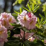 Heritage Museums & Gardens
