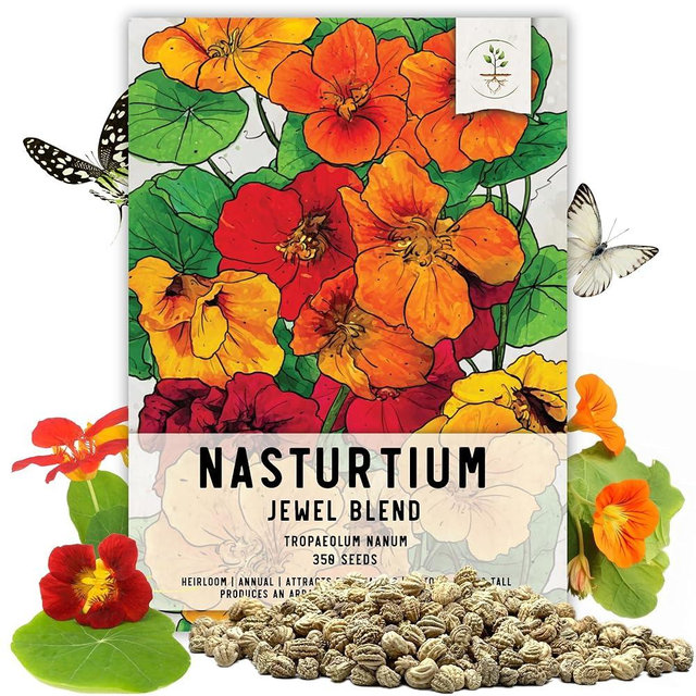 Seed Needs Nasturtium Seeds Jewel Mix Multicolored Edible Flowers | 1.5 Ounce 350+ Seeds Tropaeolum Nanum Annual Flower Seed Mix | Bulk Jewel Nasturtiums for The Garden