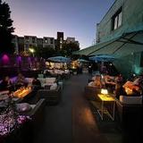 Canopy Cocktails & Garden