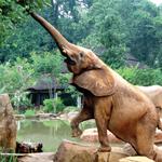 Riverbanks Zoo & Garden