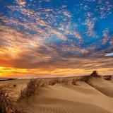 Jockey's Ridge State Park
