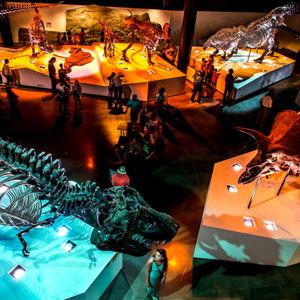 Houston Museum of Natural Science Dual Memberships