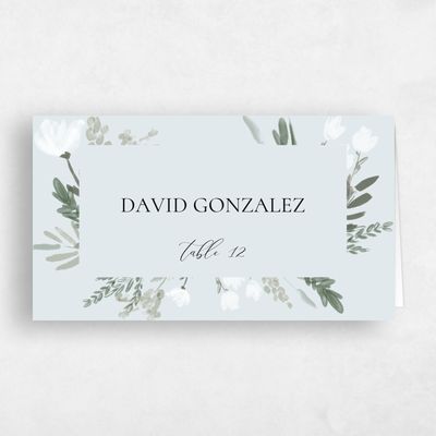 Ice, Blue Wedding Place Card - Oaklyn