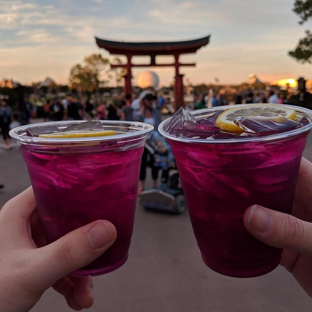 Buy us a drink in JAPAN!