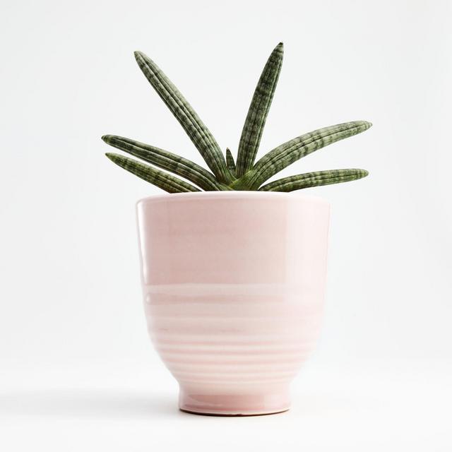 Elba Blush Planter
