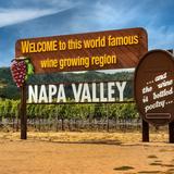 Our Go-To Wine Tours