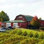 Chiles Peach Orchard and Farm Market