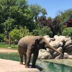 Denver Zoo