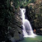 El Yunque National Forest