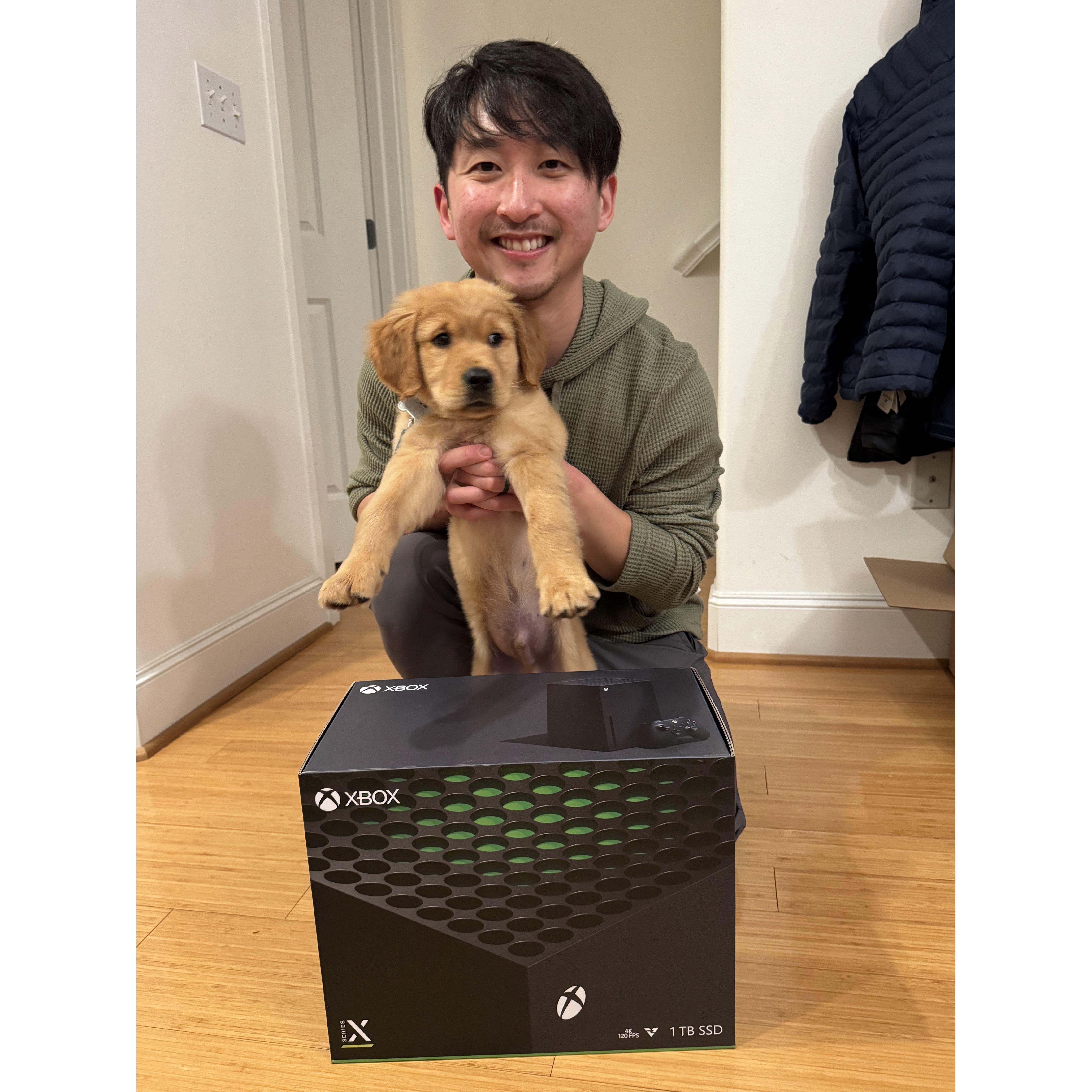 A birthday present, opened by two good boys