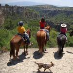 Horseback Trail Rides or Tours