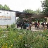 Guadalupe Brewing Company & Pizza Kitchen