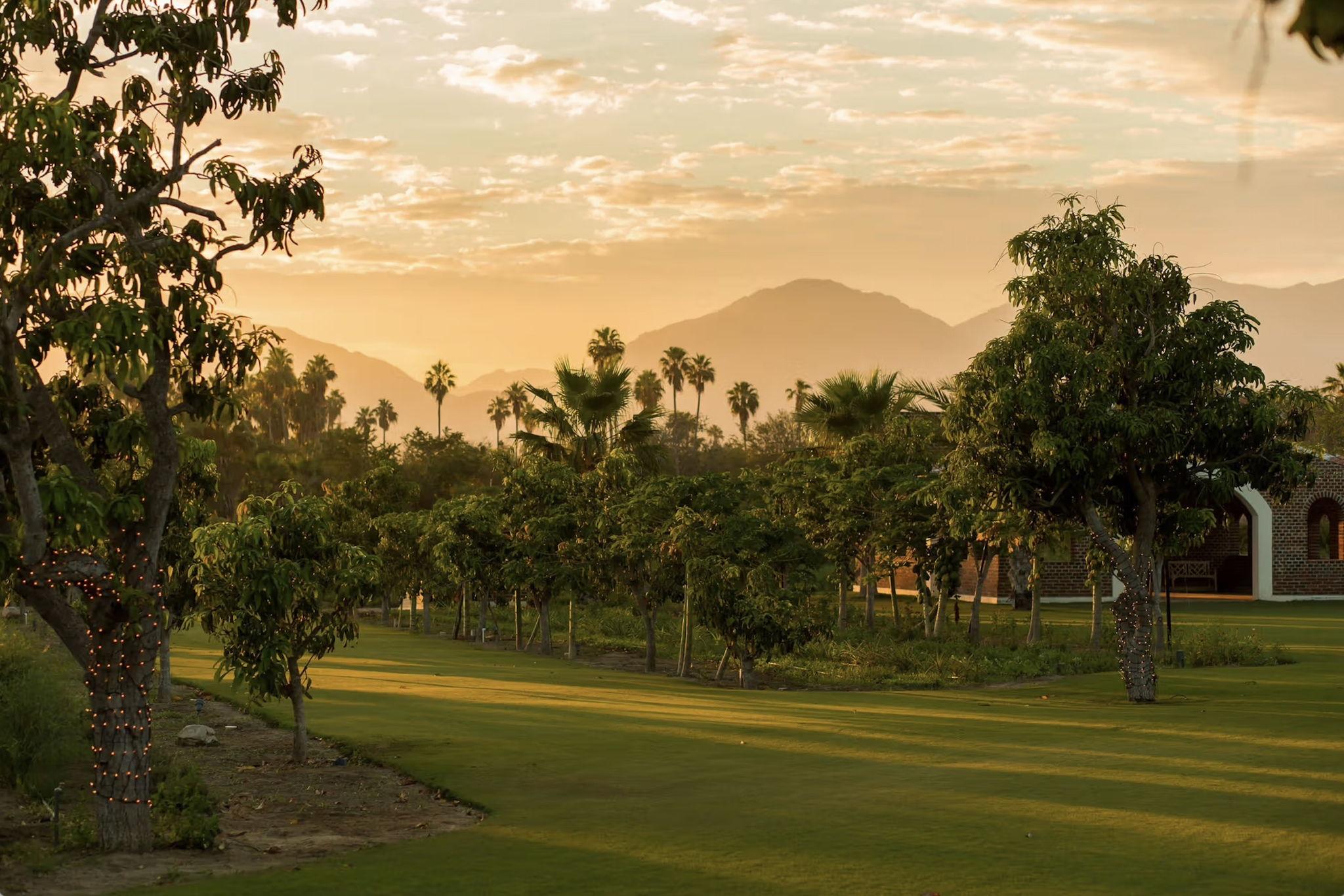 The Wedding Website of Munti Ahmad and Patrick Wilkey