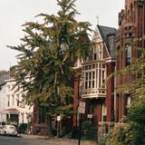 Freemason Historic District