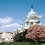 United States Capitol