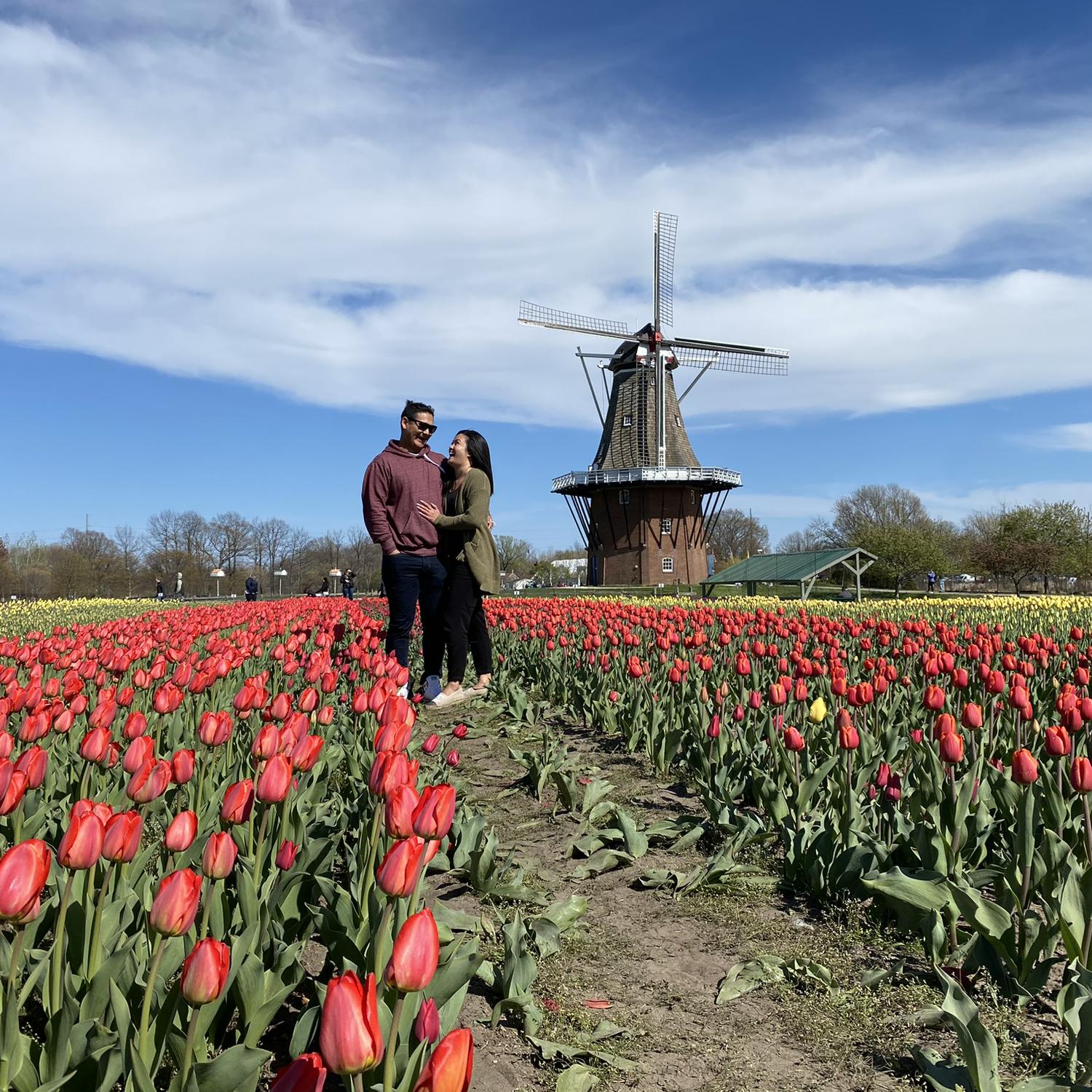 Holland, Michigan 💐🌷