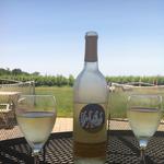 Elegant Wine Tours