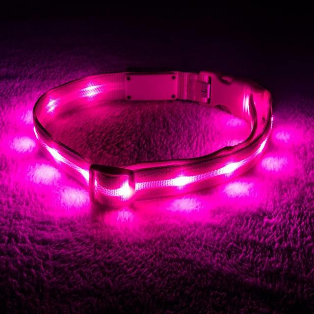 Blazin' Safety LED Dog Collar – USB Rechargeable with Water Resistant Flashing Light – Large Pink