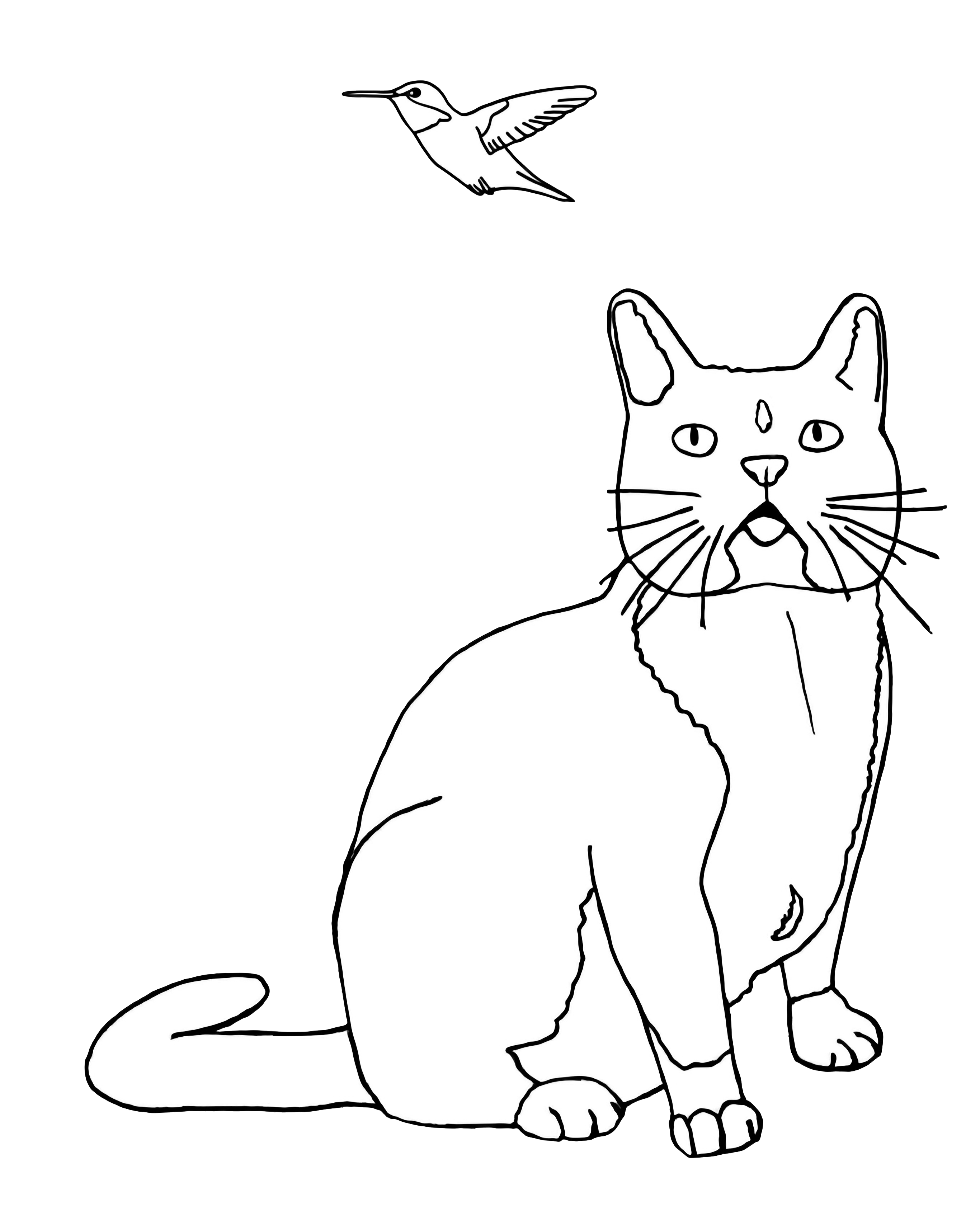 The Wedding Website of Anastasia Matijkiw and Conor O'Brien