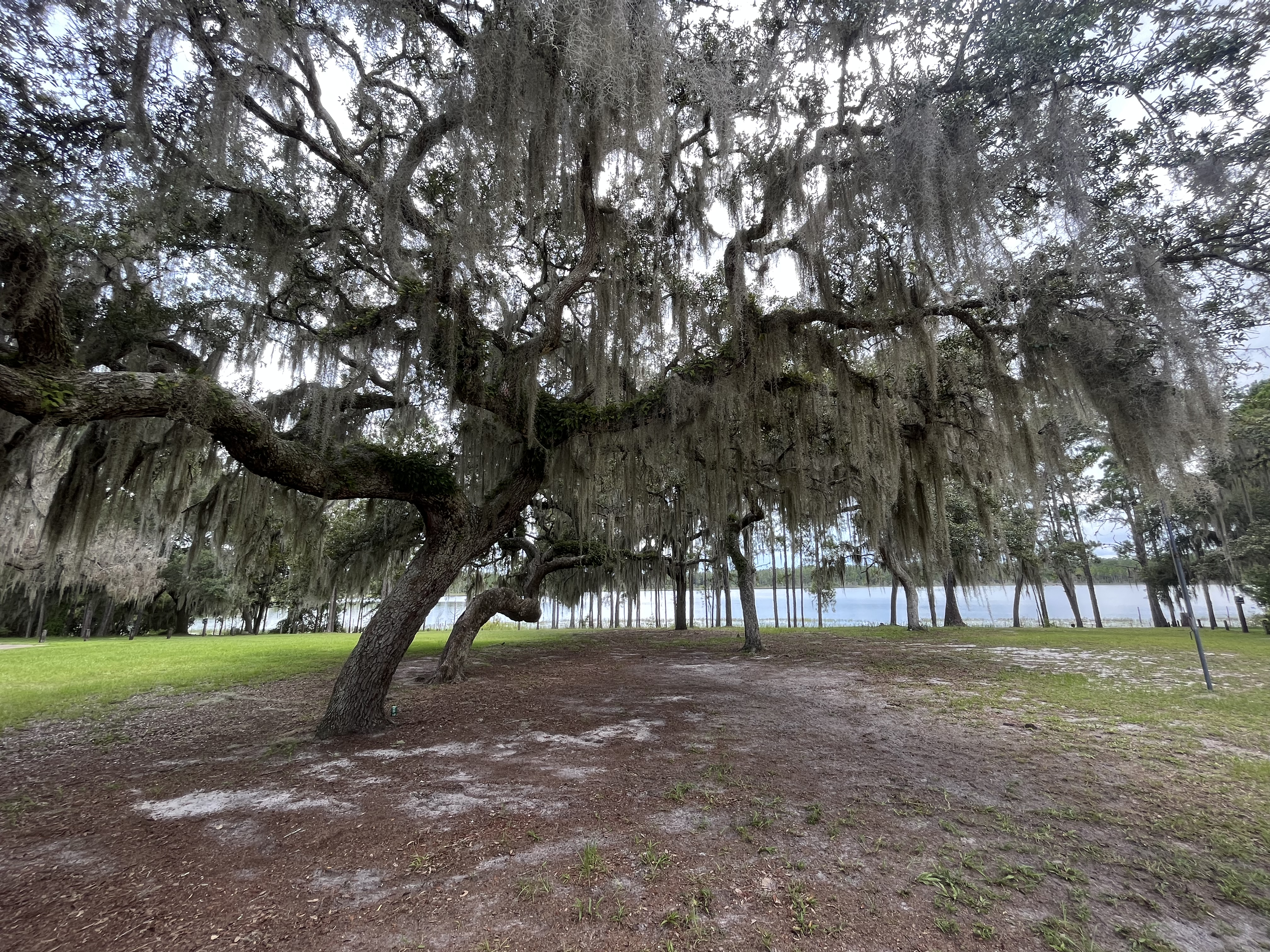 The Wedding Website of Callie Mills and Brian Hamrick