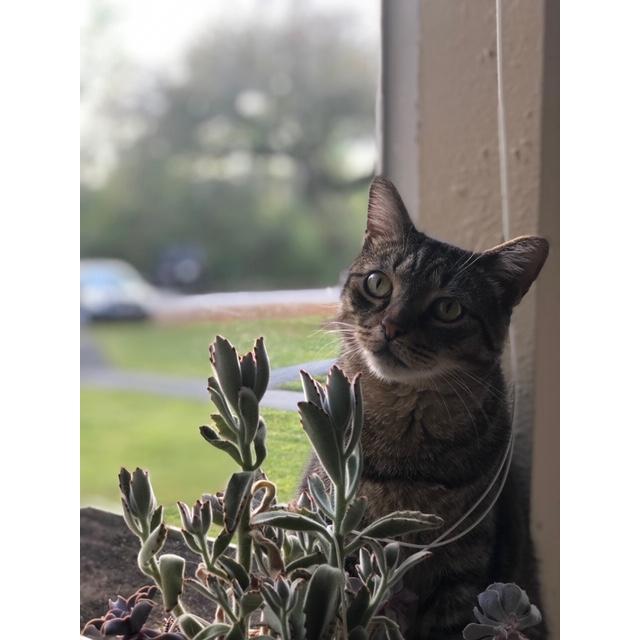 Our first child, Phinny.