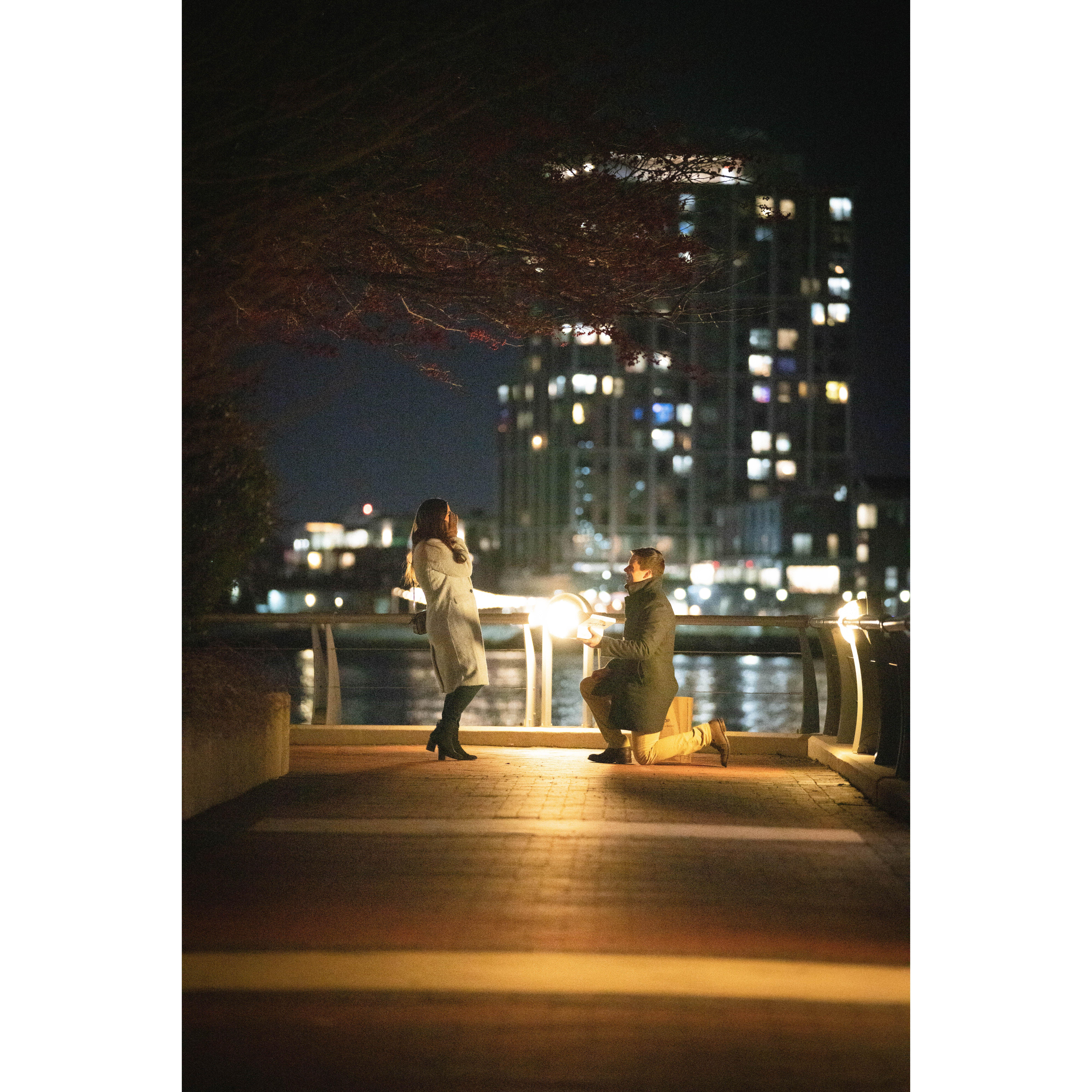 Dezembro de 2022 — Pedido de noivado 💍✨