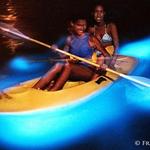 Bahía Bioluminiscente