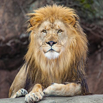 Lincoln Park Zoo
