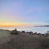 Morro Bay