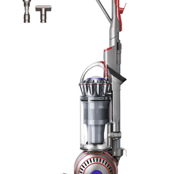 Dyson Ball Animal 3