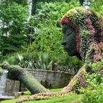 Atlanta Botanical Garden