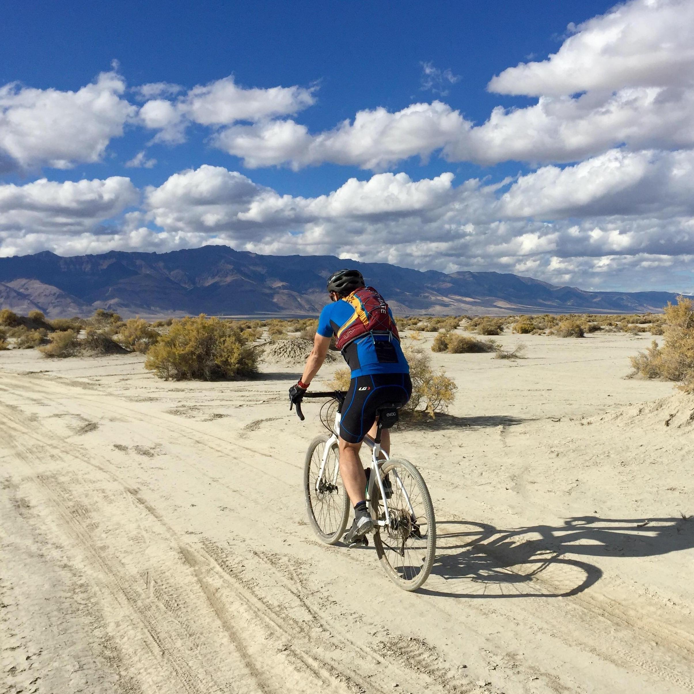 The Alvord Desert
