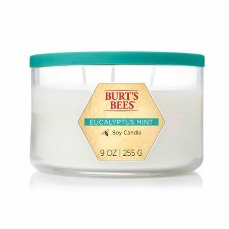 Blyth Home Scents International 111263 Burt'S Bees® Eucalyptus Mint 3-Wick Jar Candle