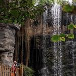 Henry Doorly Zoo
