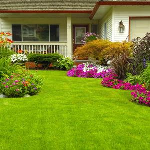Landscaping