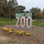 The Maryland Zoo in Baltimore