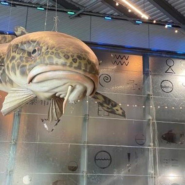 We <3 Great Lakes Aquarium