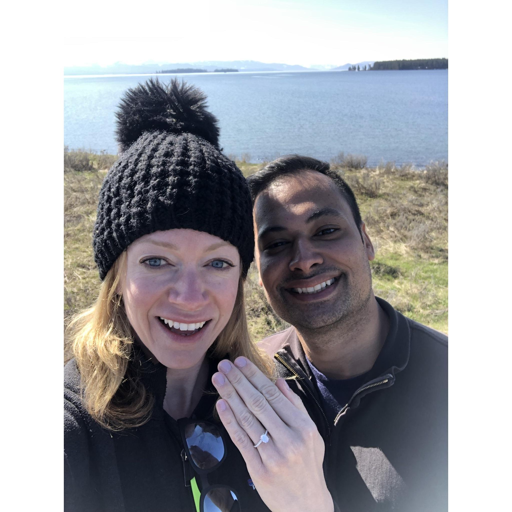 Engaged on the banks of Yellowstone lake