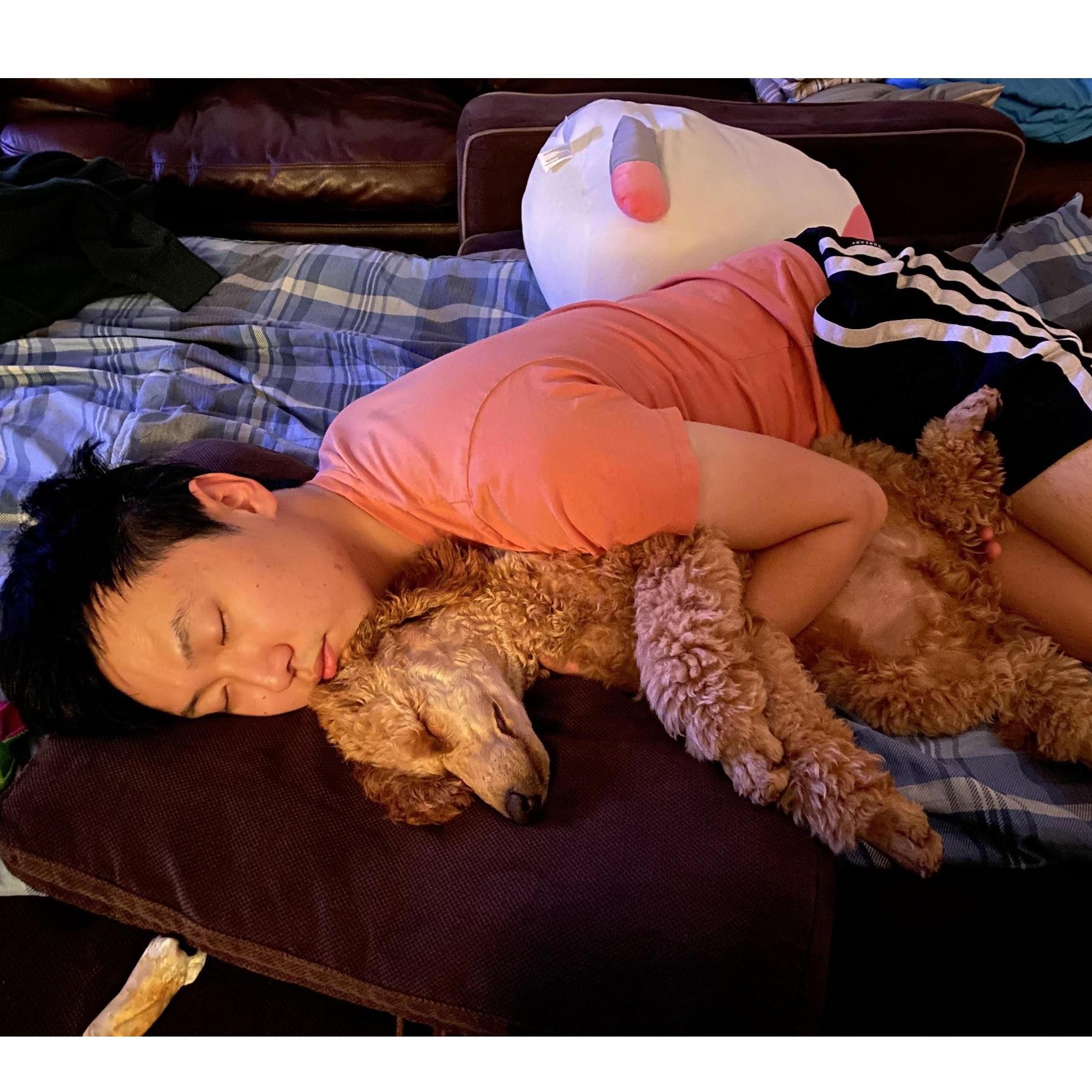 Adjusting to life with a puppy is hard - especially with one as intelligent, active, and curious as Cucumber