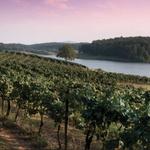Biltmore Estate Winery