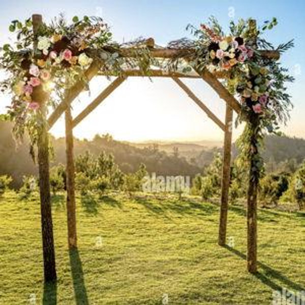 Our newlywed fund