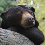 Henry Doorly Zoo and Aquarium
