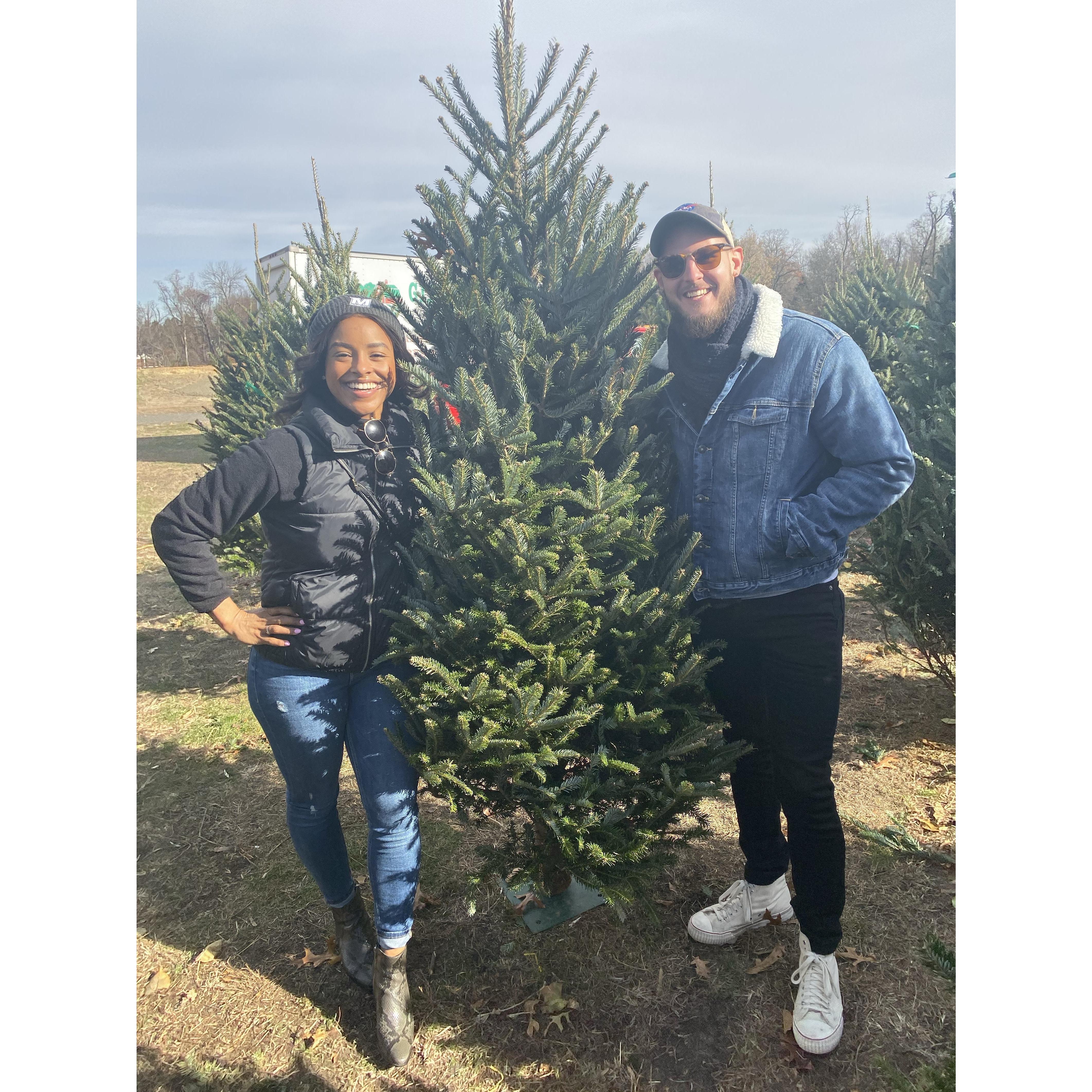 Our first Christmas tree tradition🎄