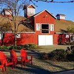 Frog's Leap Winery